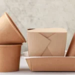 Innovative Takeaway Containers: The Future of Food Packaging