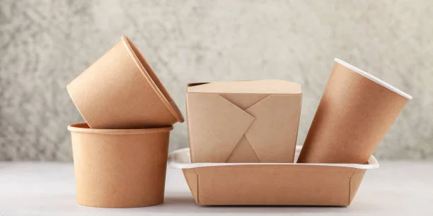 Innovative Takeaway Containers: The Future of Food Packaging