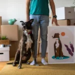 What You Should Know About Pet Size Perception and Its Surprising Impact on Home Design Choices