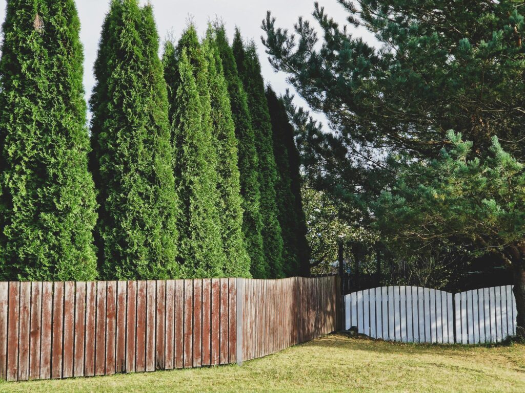 Natural Timber Barriers for Privacy and Style