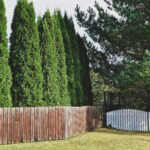 Natural Timber Barriers for Privacy and Style