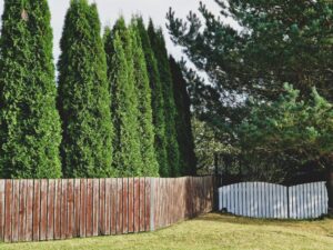 Natural Timber Barriers for Privacy and Style