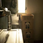 The Best Home Organization Habits That Actually Stick