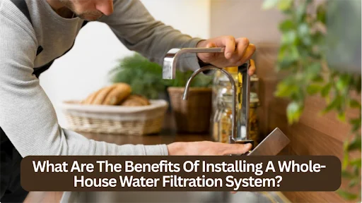 Whole-house water filtration system