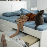 Solid Wood Storage Beds That Balance Function and Design in Singapore