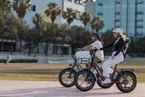 Long-range electric bikes