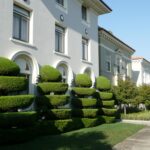 The Role of Quality Windows in Property Value Enhancement