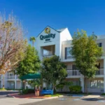 When Should You Check Your Home for Pests in Fullerton