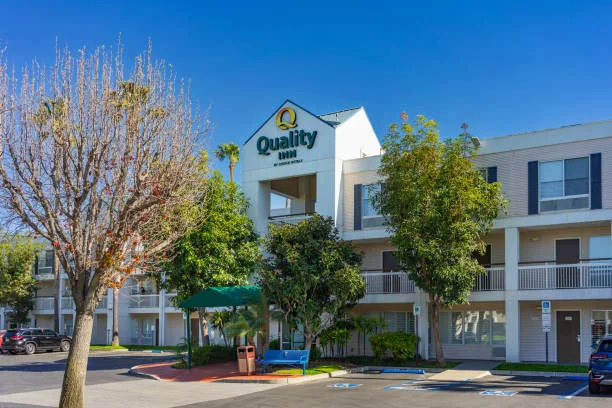 When Should You Check Your Home for Pests in Fullerton