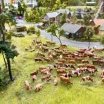 Key Features to Look for When Buying Miniature Ranch Animals