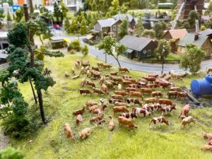 Key Features to Look for When Buying Miniature Ranch Animals
