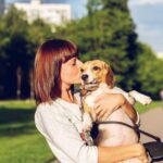 Low-Cost Dog Spay Services for Pet Owners