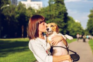 Low-Cost Dog Spay Services for Pet Owners