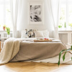 Optimizing Professional Performance Through Curated Living