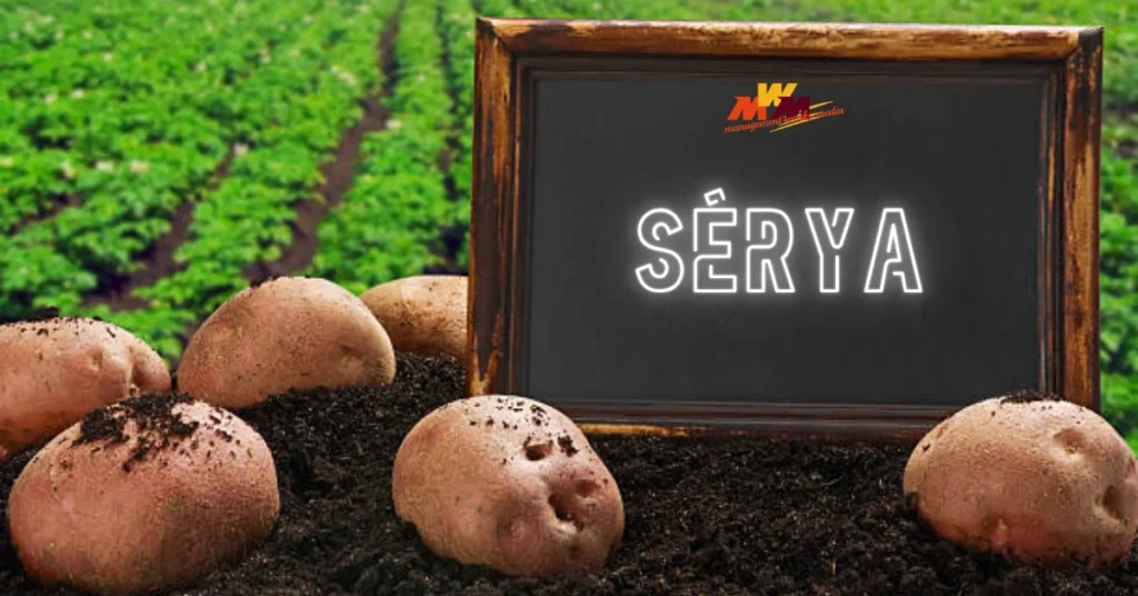 Sérya: The Definitive Guide to High-Performance Potato Engineering