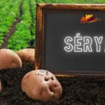 Sérya: The Definitive Guide to High-Performance Potato Engineering
