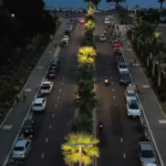 Oil Palm Self-Cleaning Street Light Project: The Future of Zero-Waste Road Lighting (2025)