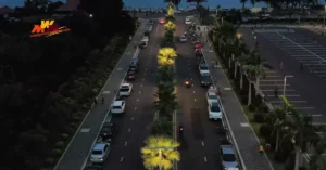 oil palm self-cleaning street light project