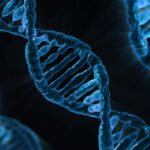 The Science Behind Genetics and Its Impact on Human Health