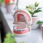 Bite Into Better Health: Why Alignment Matters More Than You Think