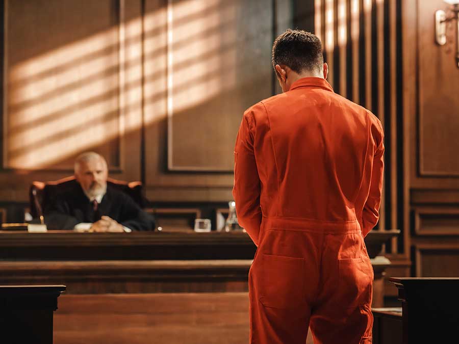 Defending Murder Cases