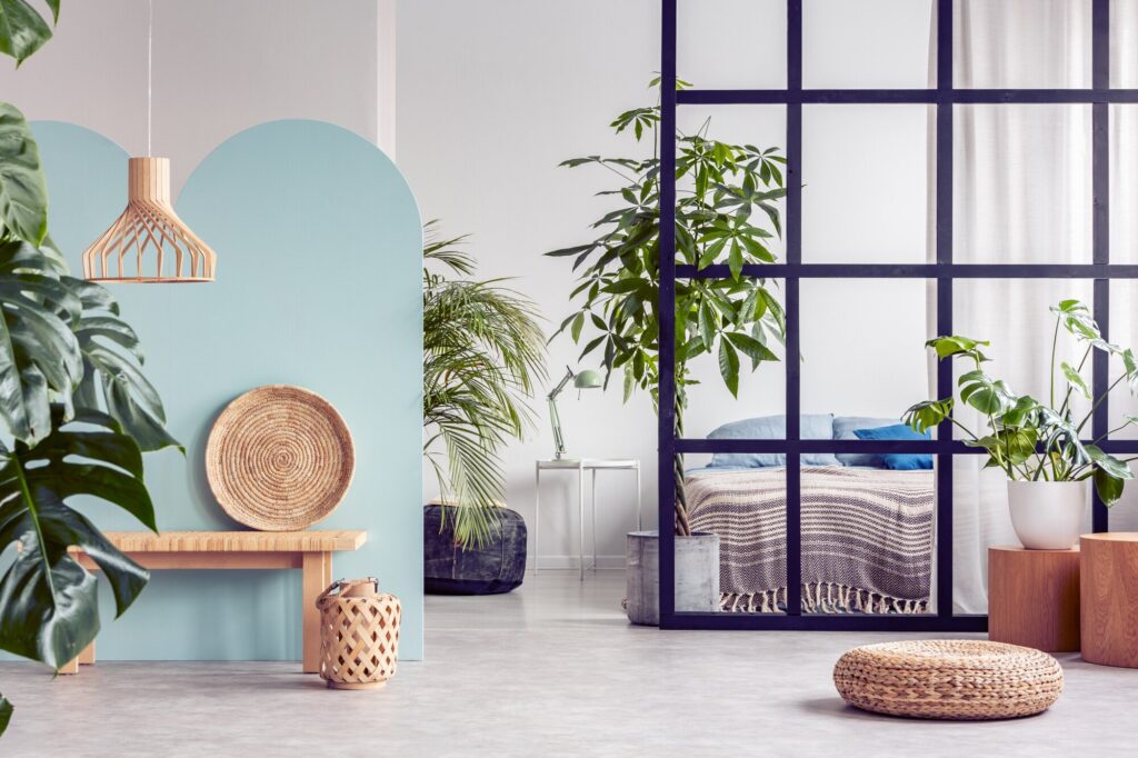 Apartment Options with Spacious Layouts and Stylish Features