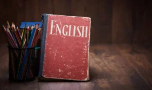 primary english book