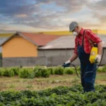 2026 Updates on Large-Scale Environmental Injury Cases