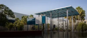 Best Business Colleges in the Middle East